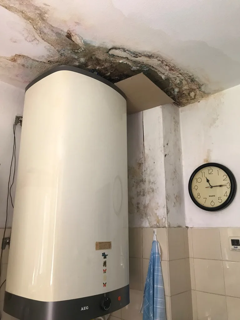 Schimmelbefall im Bereich eines Boilers