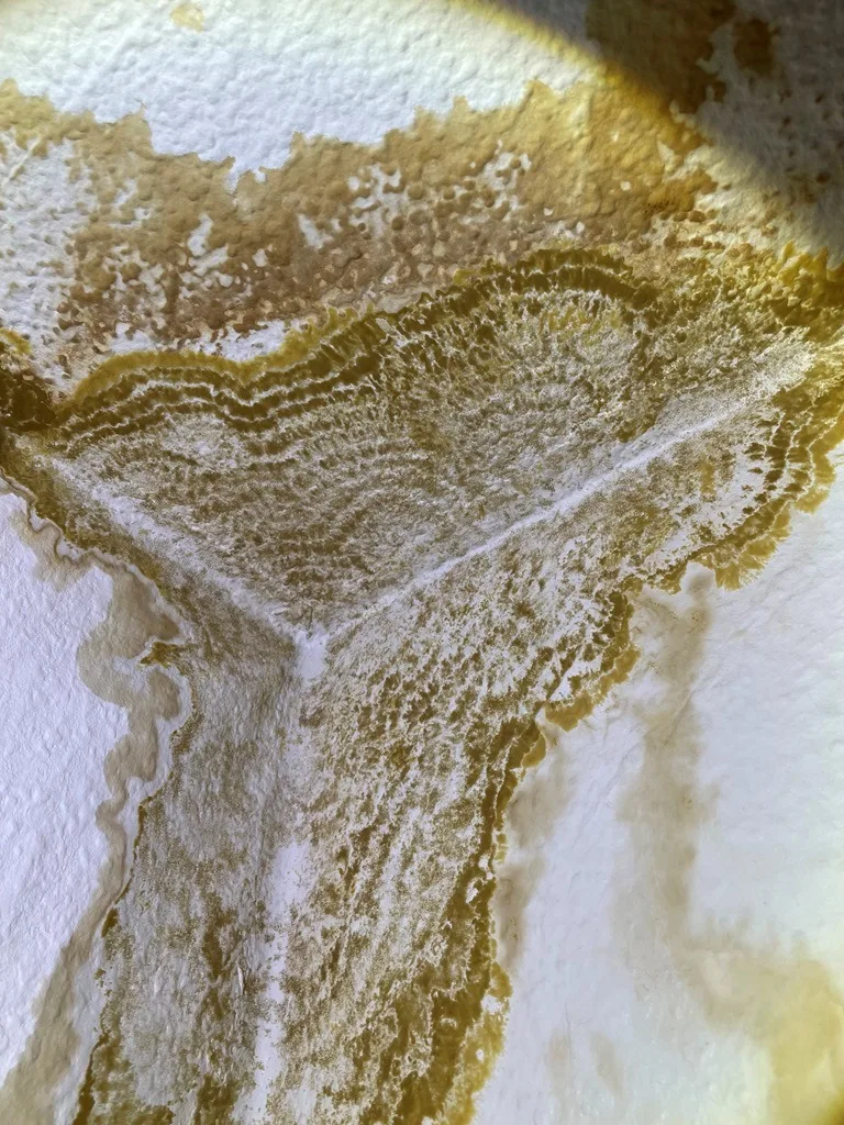 Verfärbung durch Wasserschaden