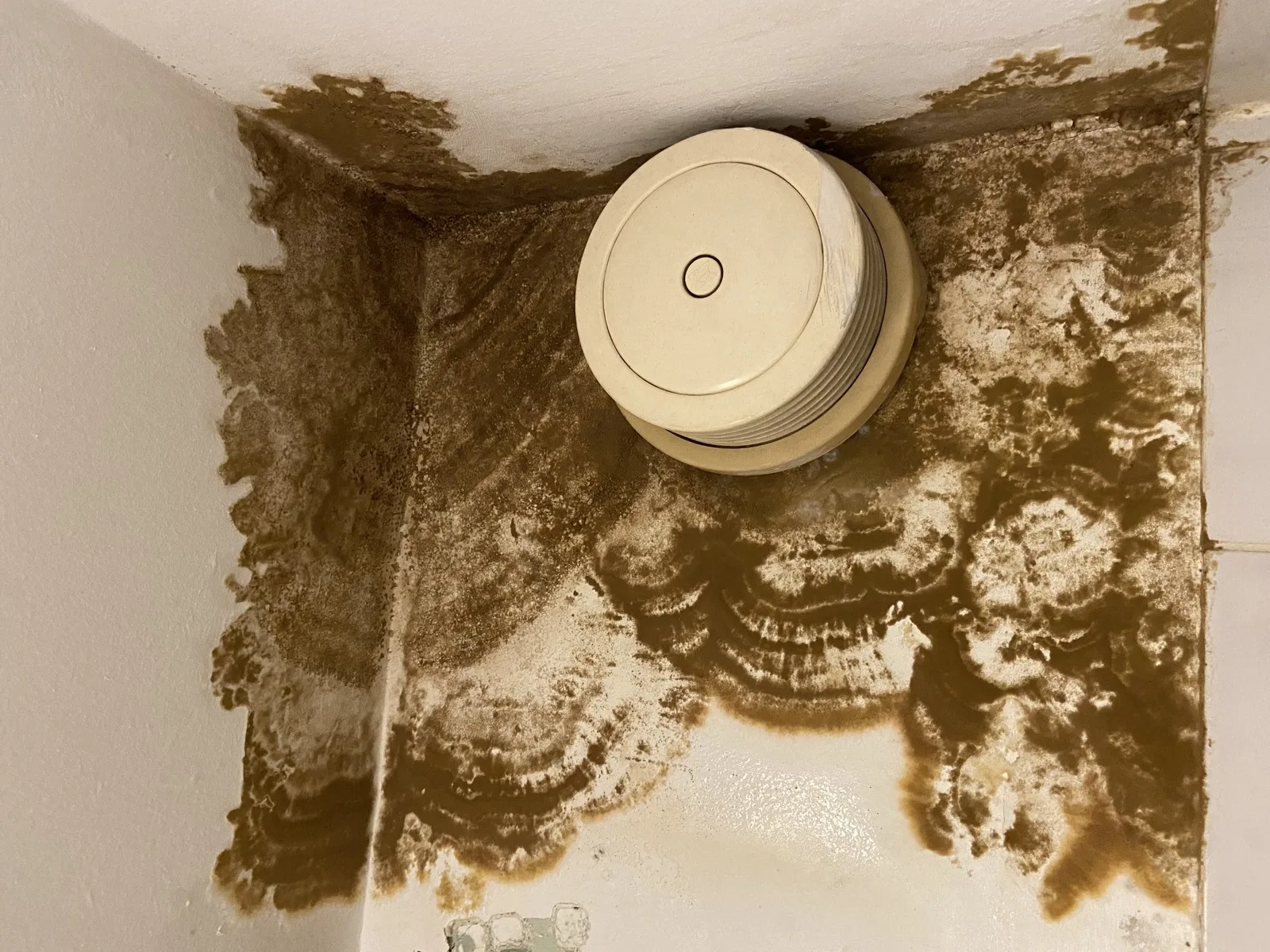 Braune Wasserflecken und Verfärbungen an Decke und Wand