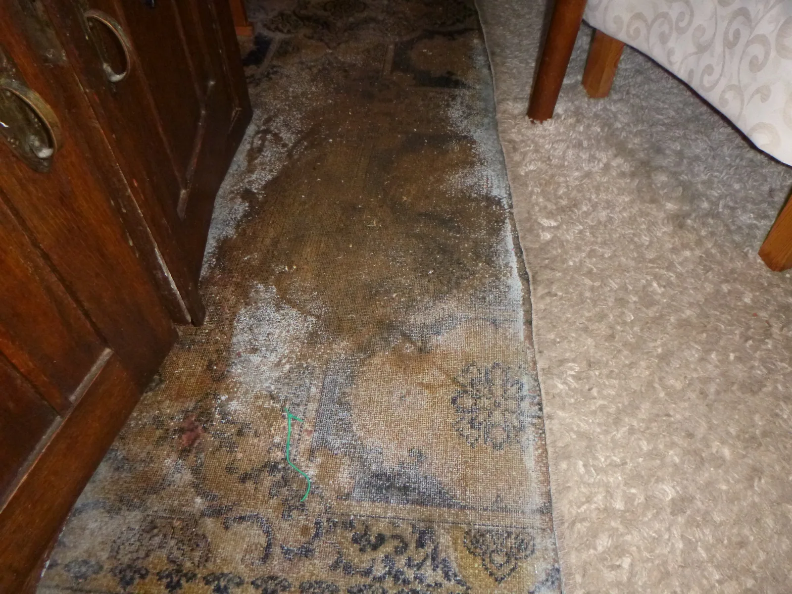 Wasserschaden am Teppich